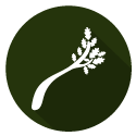 branch-icon-2