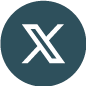 x-icon